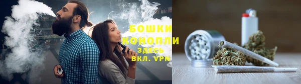 бошки Бородино