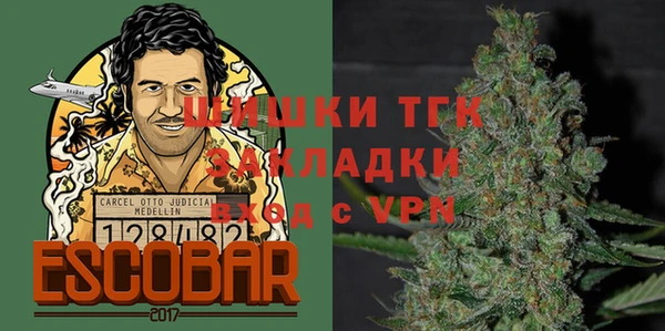бошки Бородино