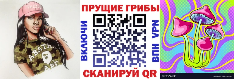Псилоцибиновые грибы Psilocybine cubensis Мончегорск