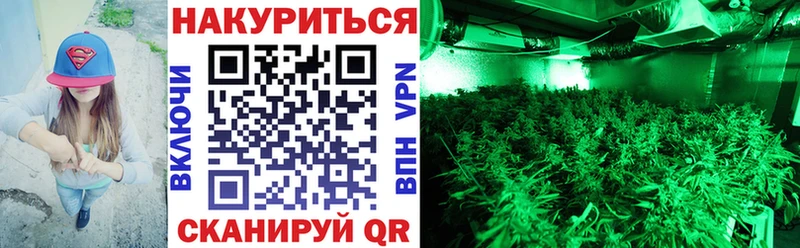 shop Telegram  цены   Мончегорск  Конопля план 